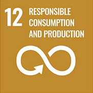 ODS Responsible consumption and production