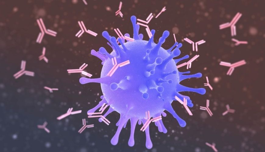 Virus immunològic