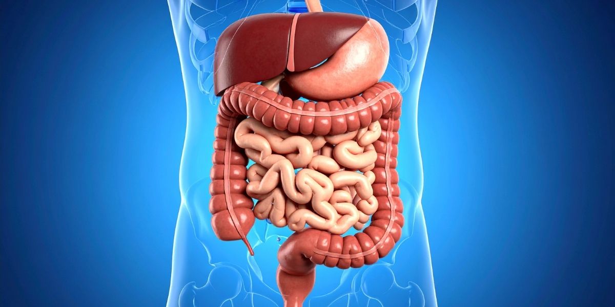 Cirurgia General i Aparell Digestiu