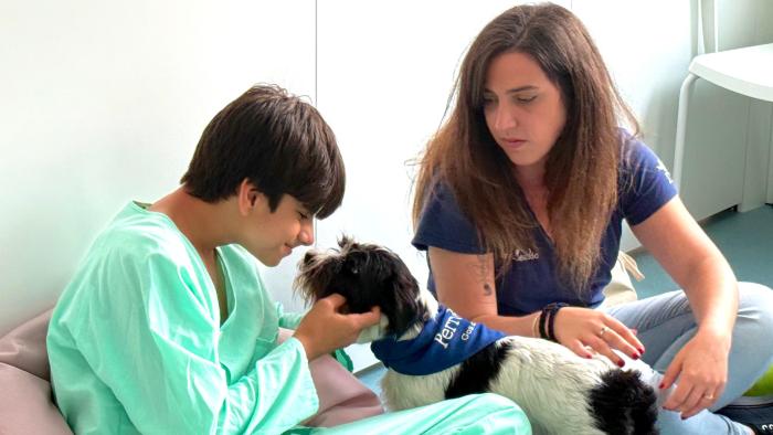 Terapia assistida amb gossos
