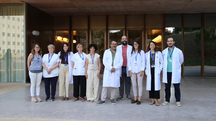 Equip de l'estudi Dragonfly a Vall d'Hebron