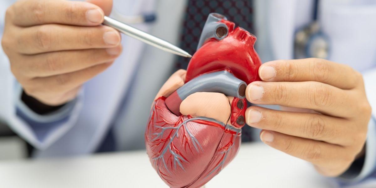 Tronc arteriós