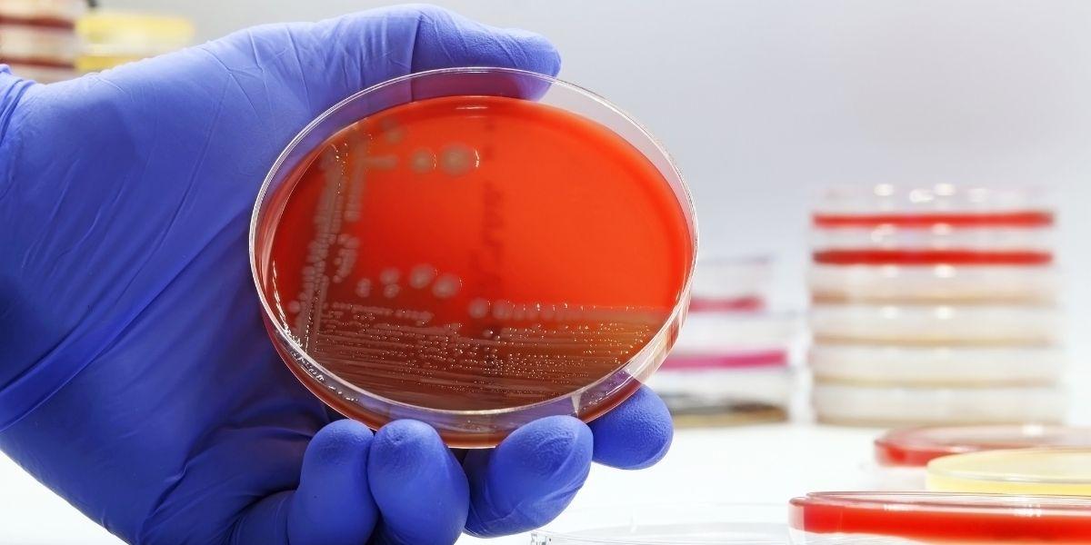 Proves de laboratori