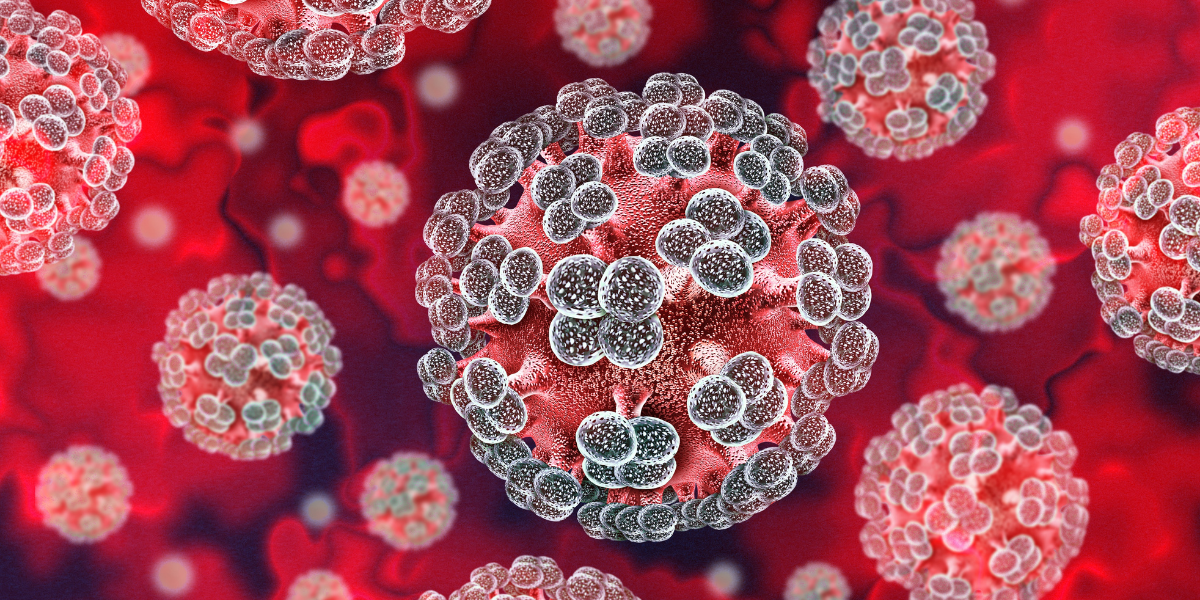 Infecció per hantavirus