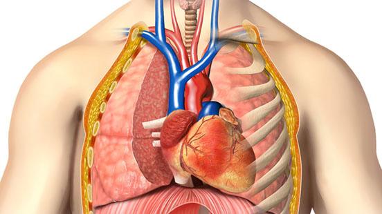 Drenatge venós anòmal pulmonar total a Vall d'Hebron