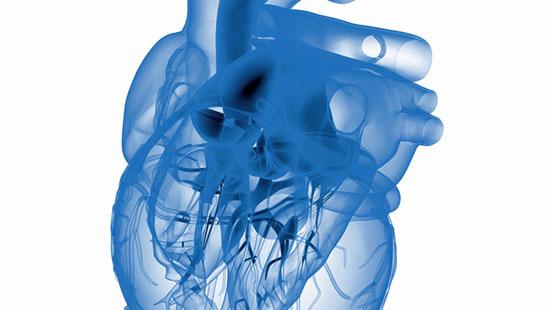 Persistència del conducte arteriós a Vall d'Hebron