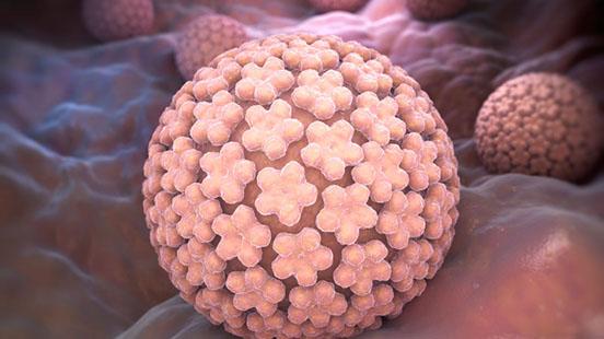 Precare  Human Papiloma Virus (HPV)